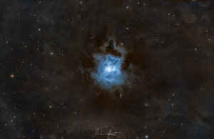 NGC 7023 Iris Nebula